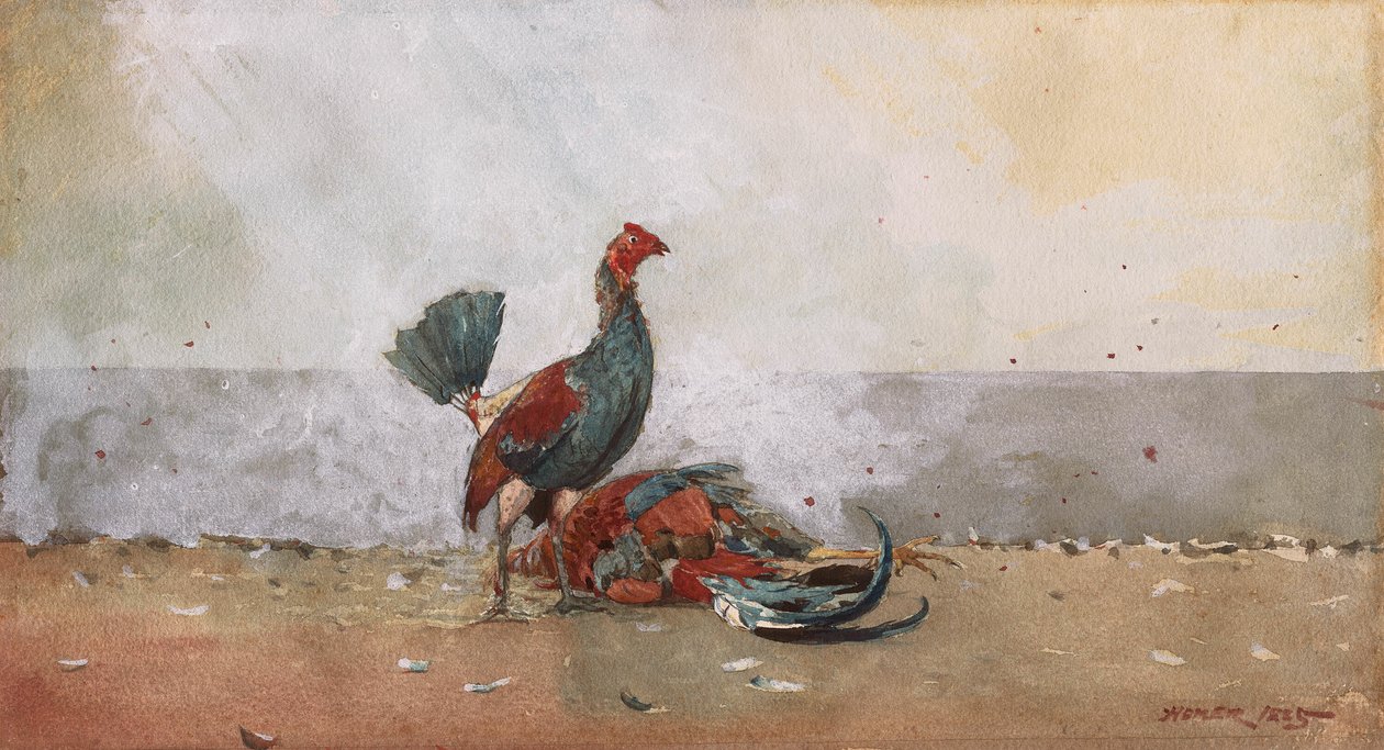 Le combat de coqs - Winslow Homer