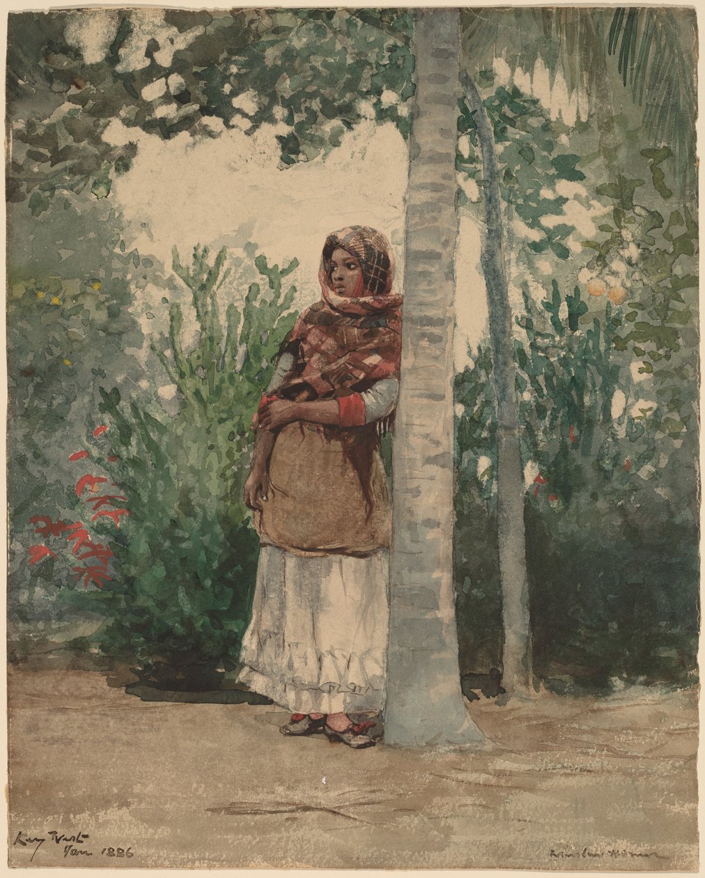Sous un palmier - Winslow Homer