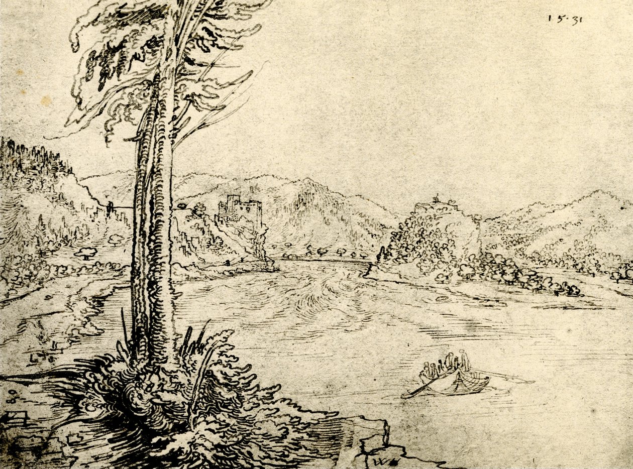Le tourbillon du Danube à Grein - Wolf Huber
