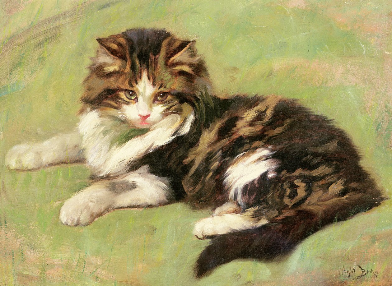 Au repos - Wright Barker