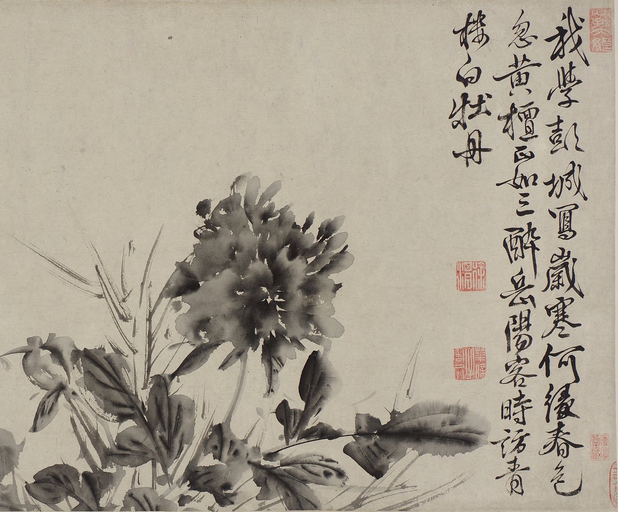 Douze fleurs et poèmes, dynastie Ming - Xu Wei