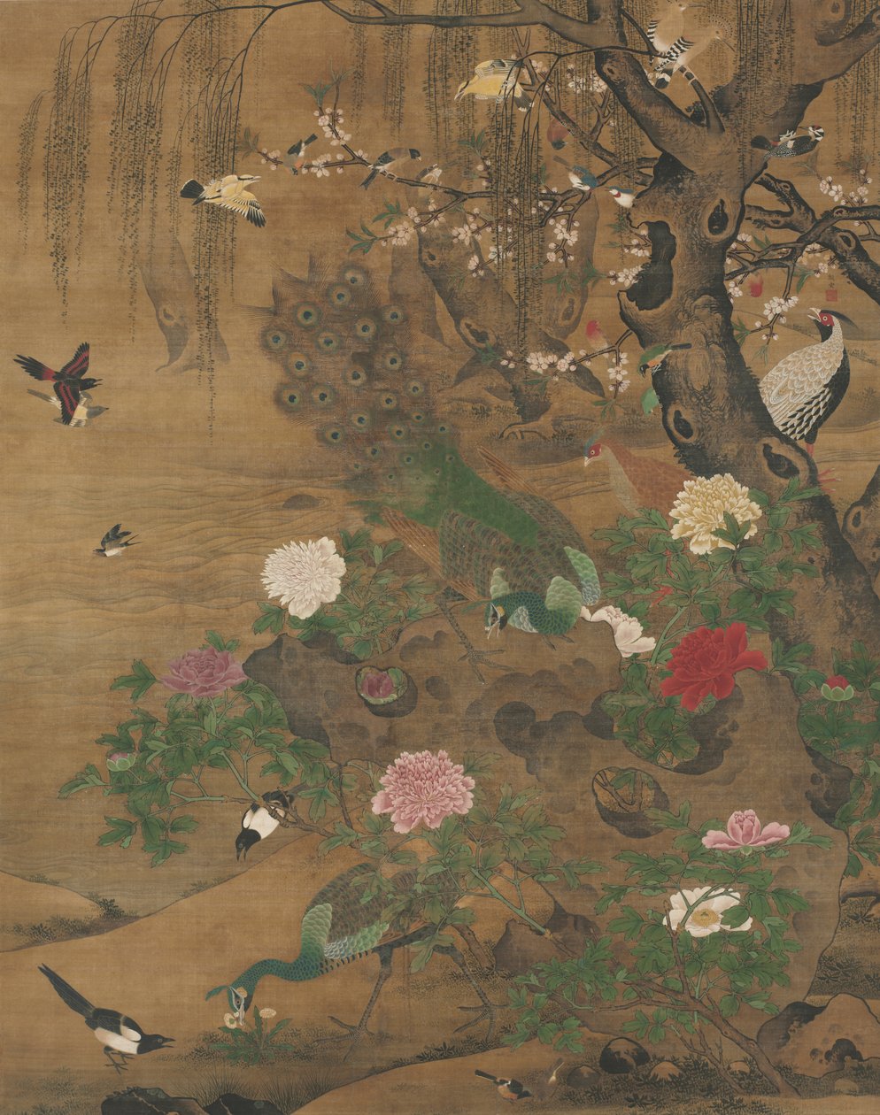 Oiseaux se rassemblant sous le saule printanier - Yin Hong