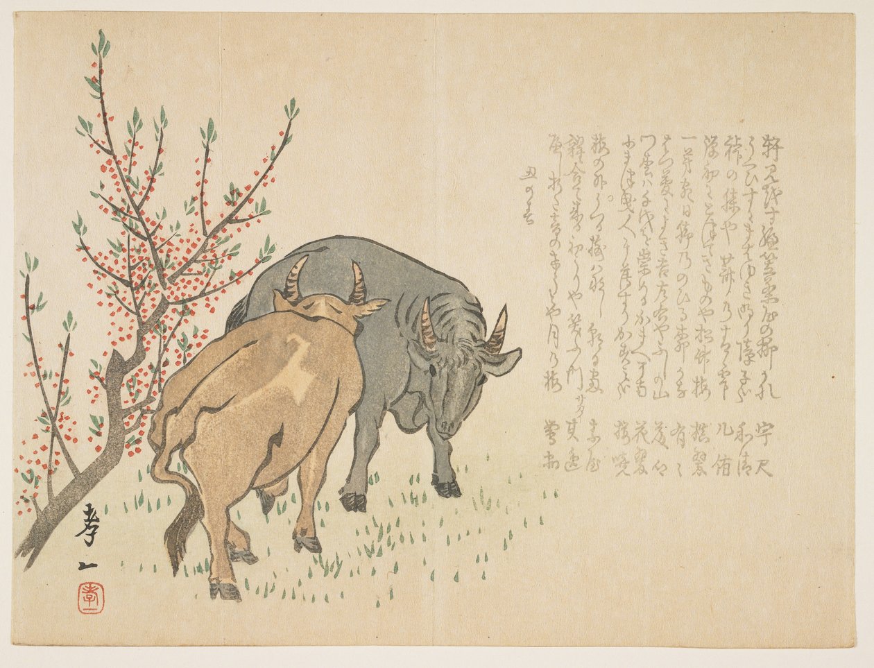 Bœufs, janvier 1853 - Yoshimura Kiitsu