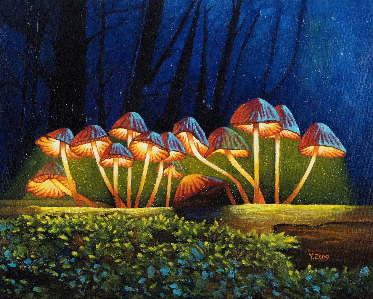 Champignons lumineux de nuit, 2023 - Yue Zeng