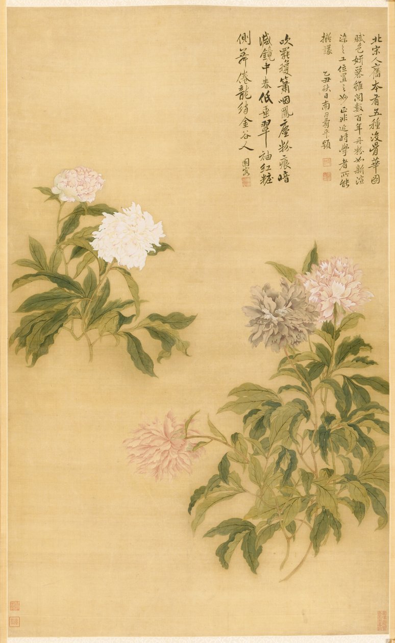 Pivoines - Shouping Yun
