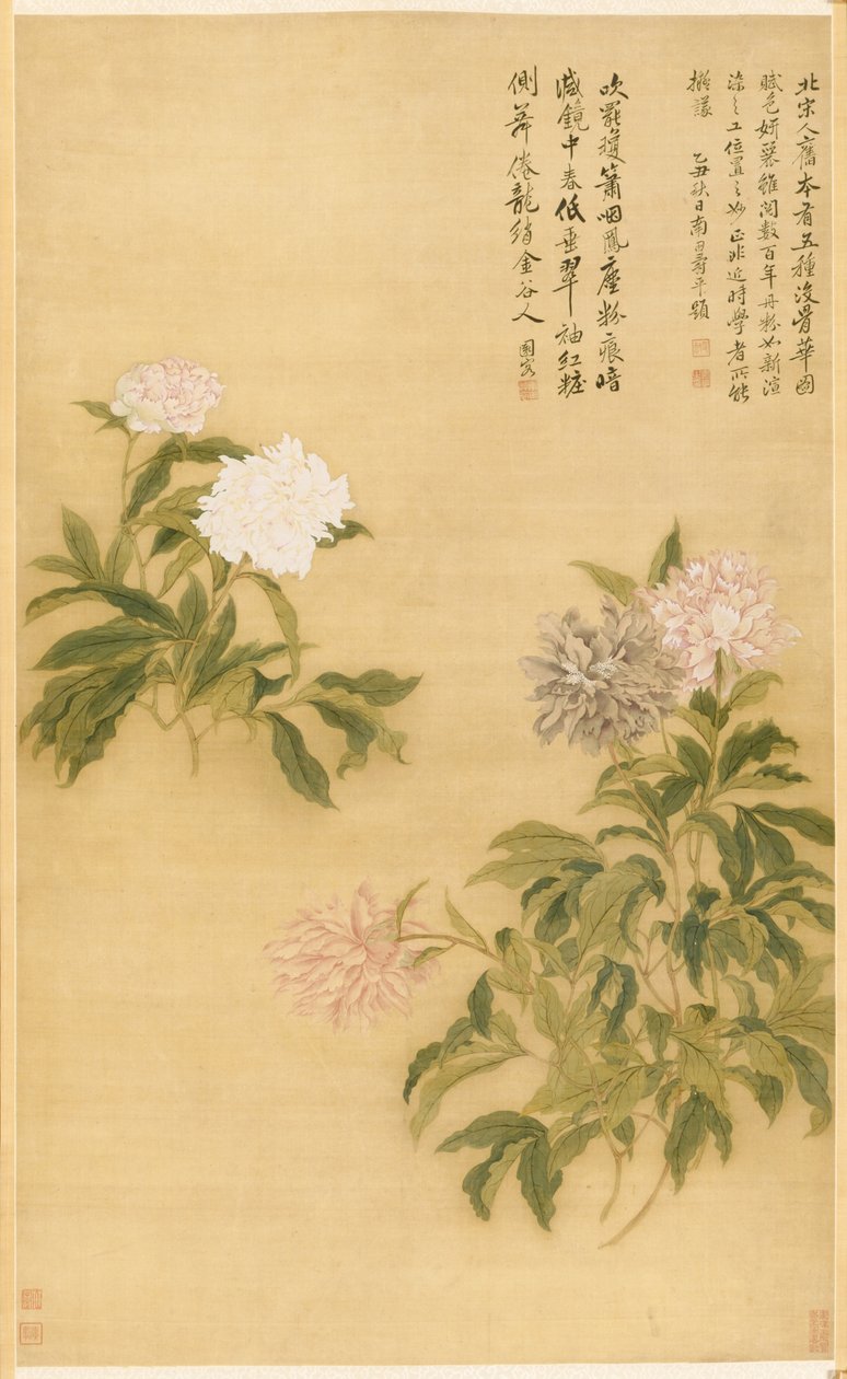 Pivoines, 1685 - Shouping Yun