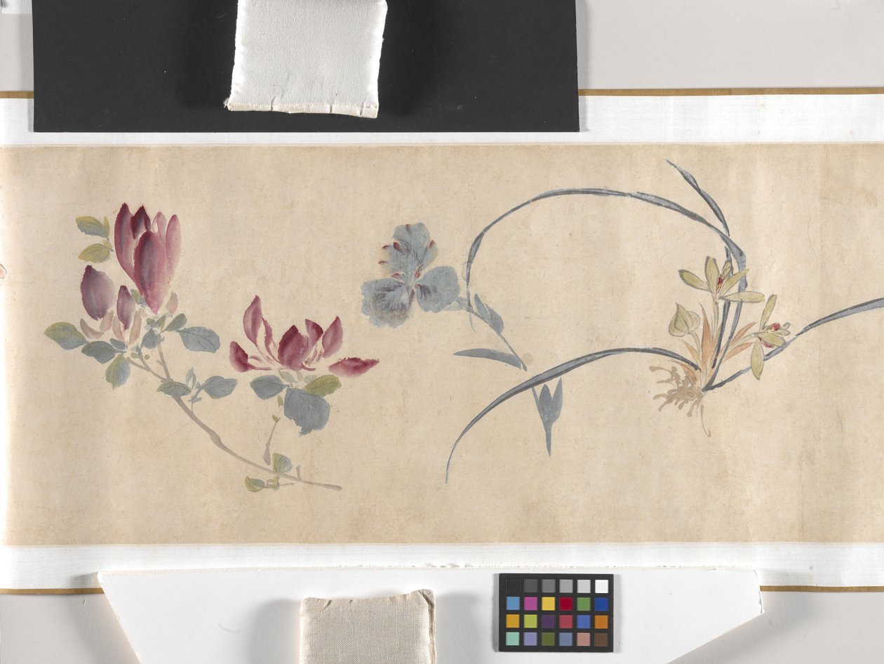 Fleurs colorées - Zhimian Zhou