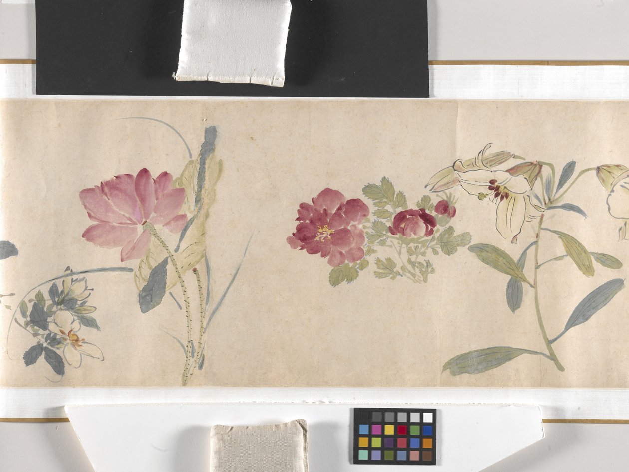 Fleurs colorées - Zhimian Zhou
