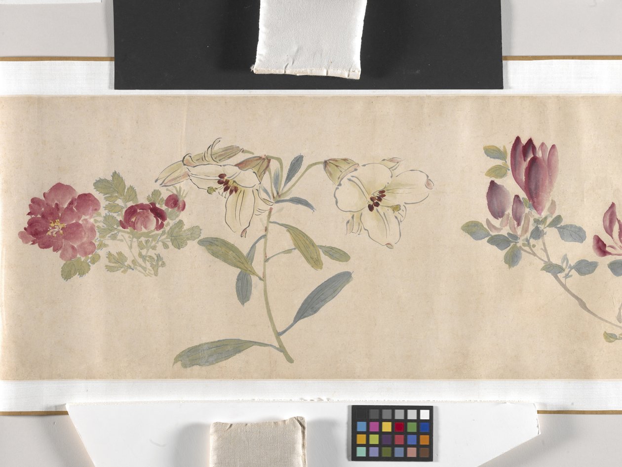 Fleurs colorées - Zhimian Zhou