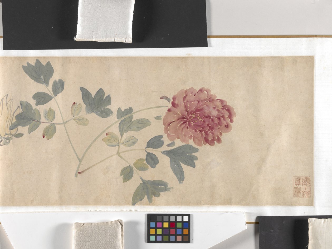Fleurs colorées - Zhimian Zhou