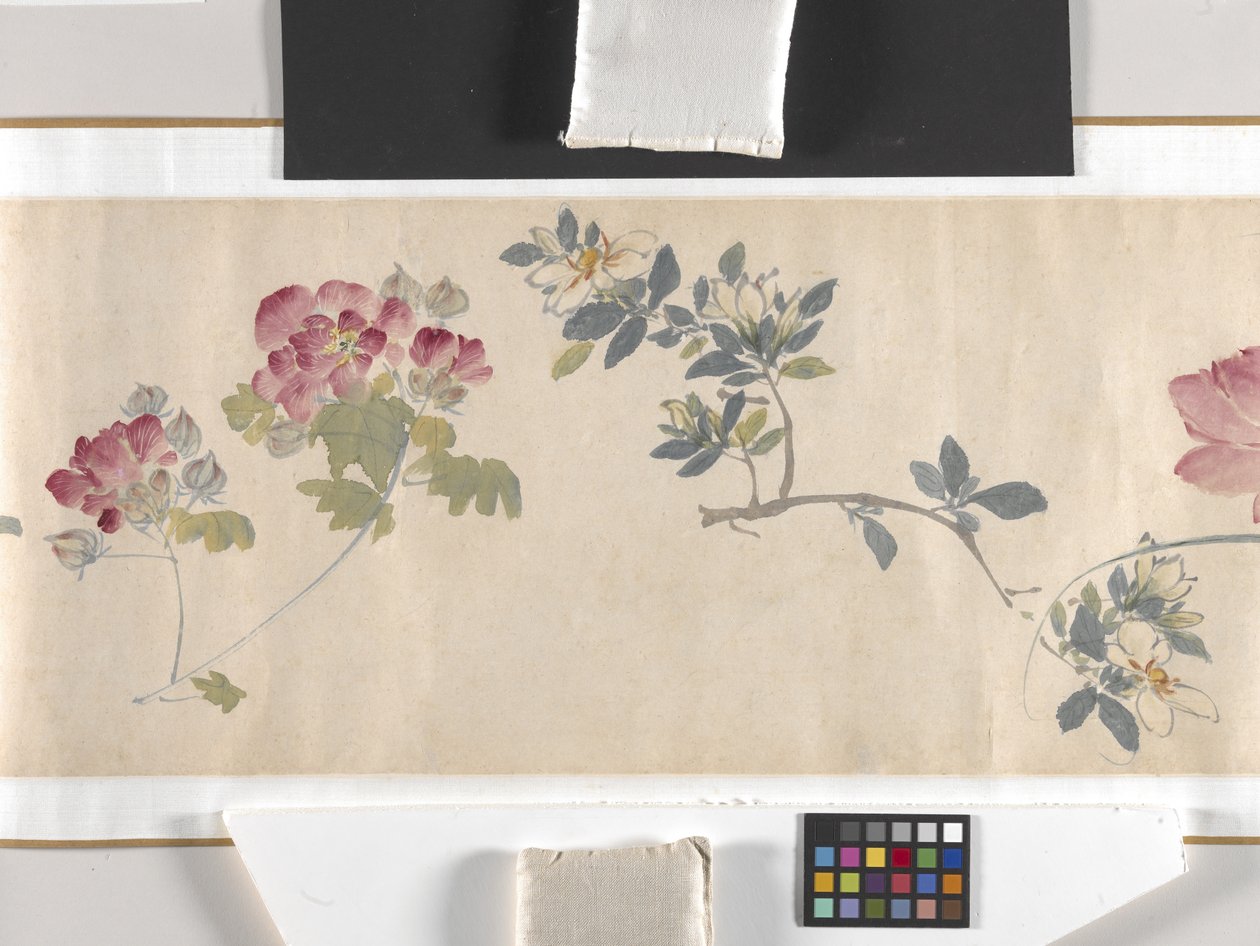 Fleurs colorées - Zhimian Zhou