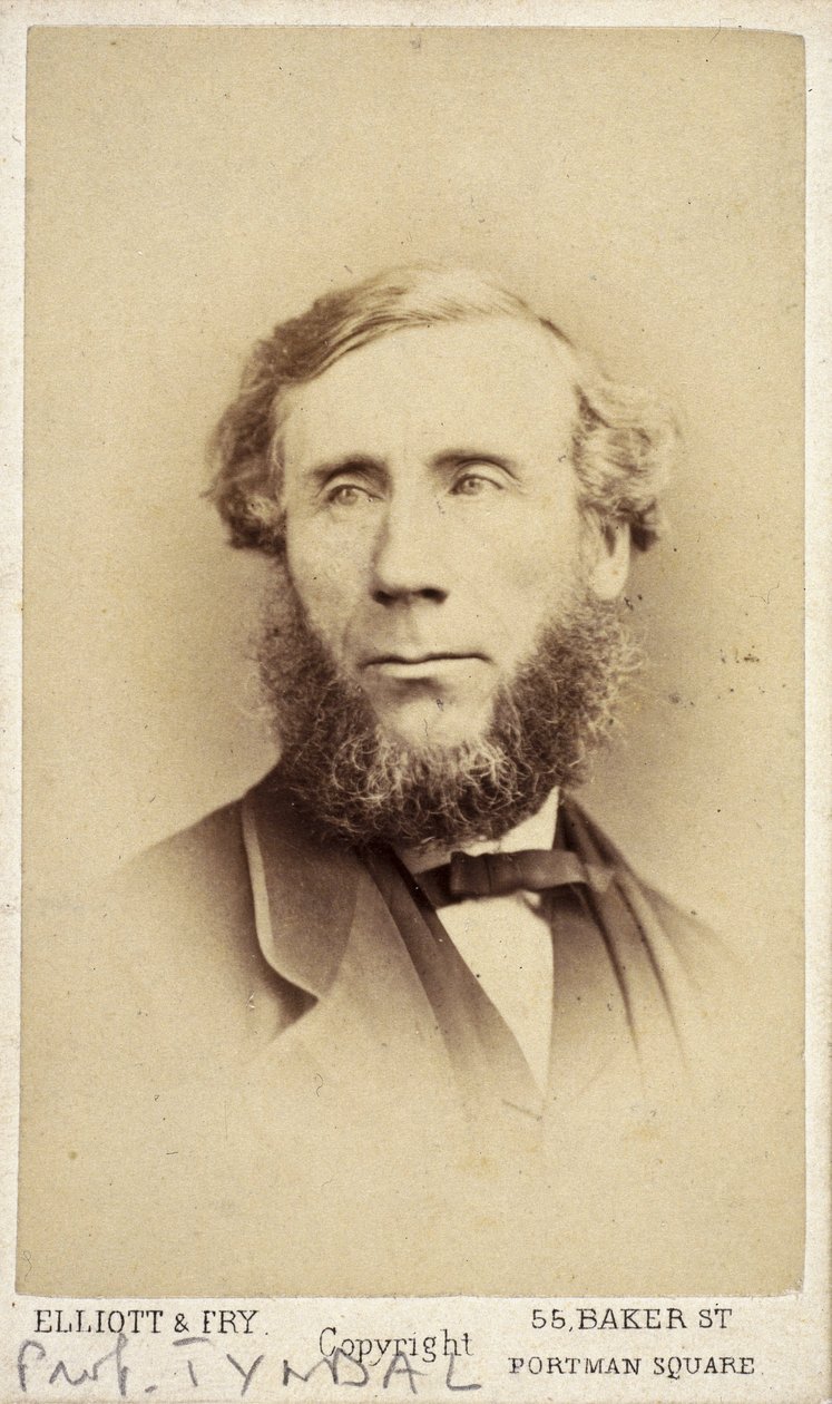 John Tyndall, physicien irlandais, vers 1875 - Frederick (attr. to) Barnard