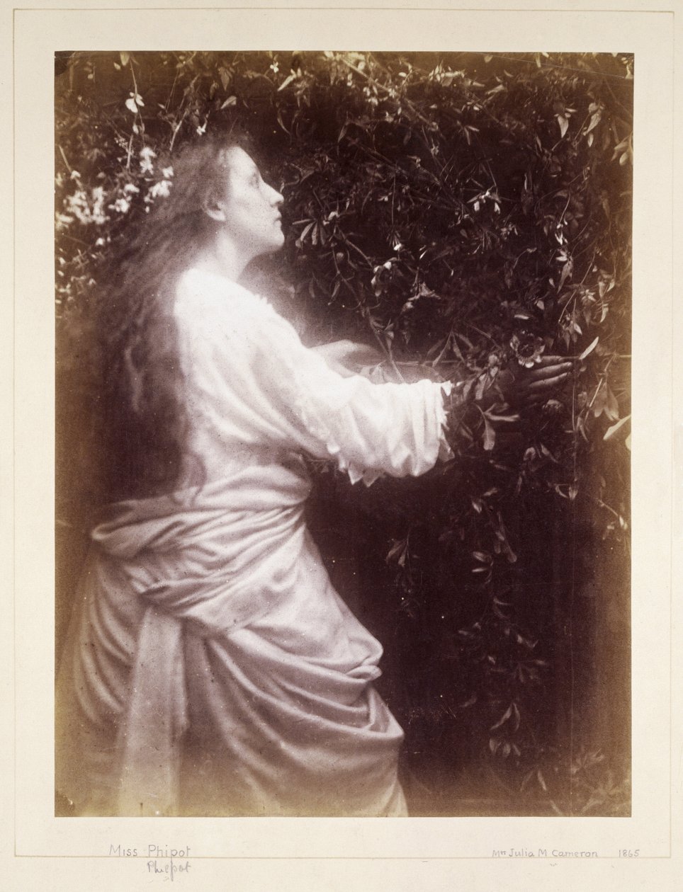 Mary Hillier, vers 1865 - John Pardon