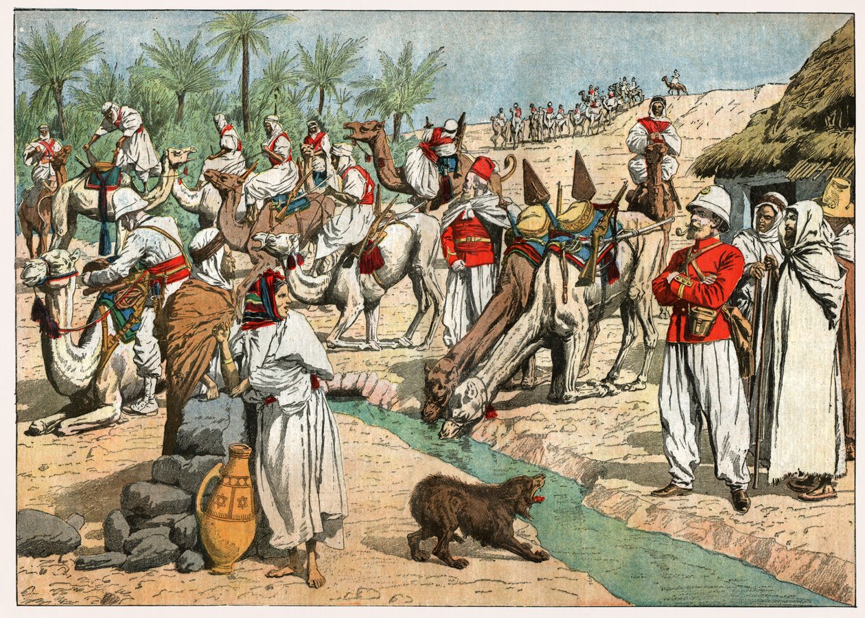 Oasis dans le désert du Sahara - . .