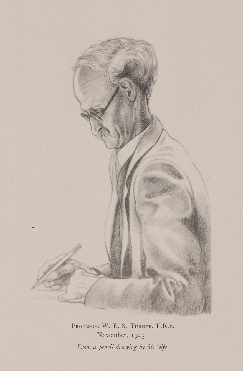 Professeur W E S Turner, novembre - Frederick (attr. to) Barnard