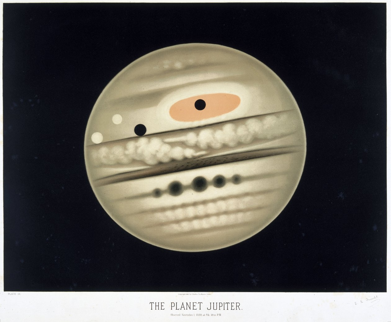 La planète Jupiter - Frederick (attr. to) Barnard