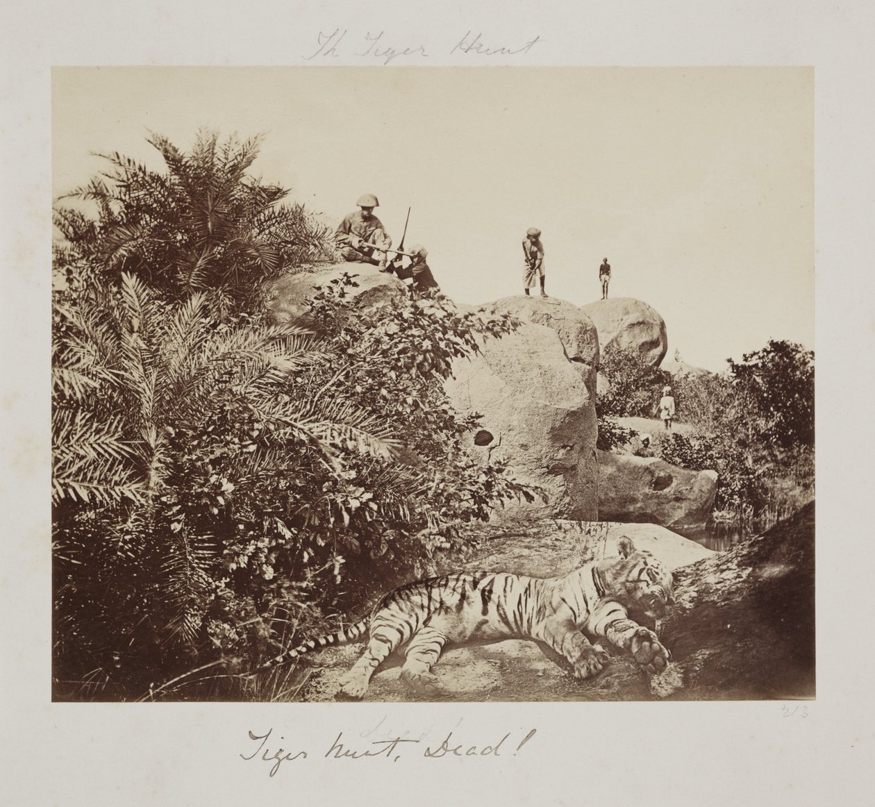 Chasse au tigre, mort! - John Pardon