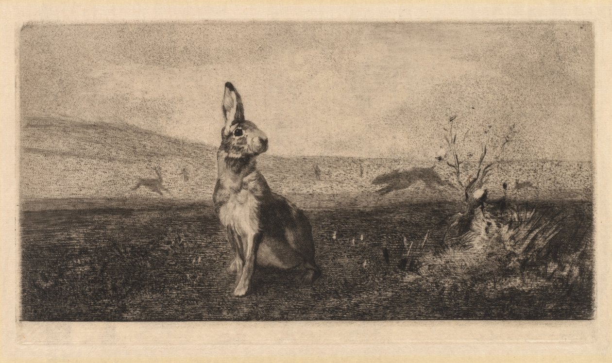 Le Lièvre - after Albert de Balleroy