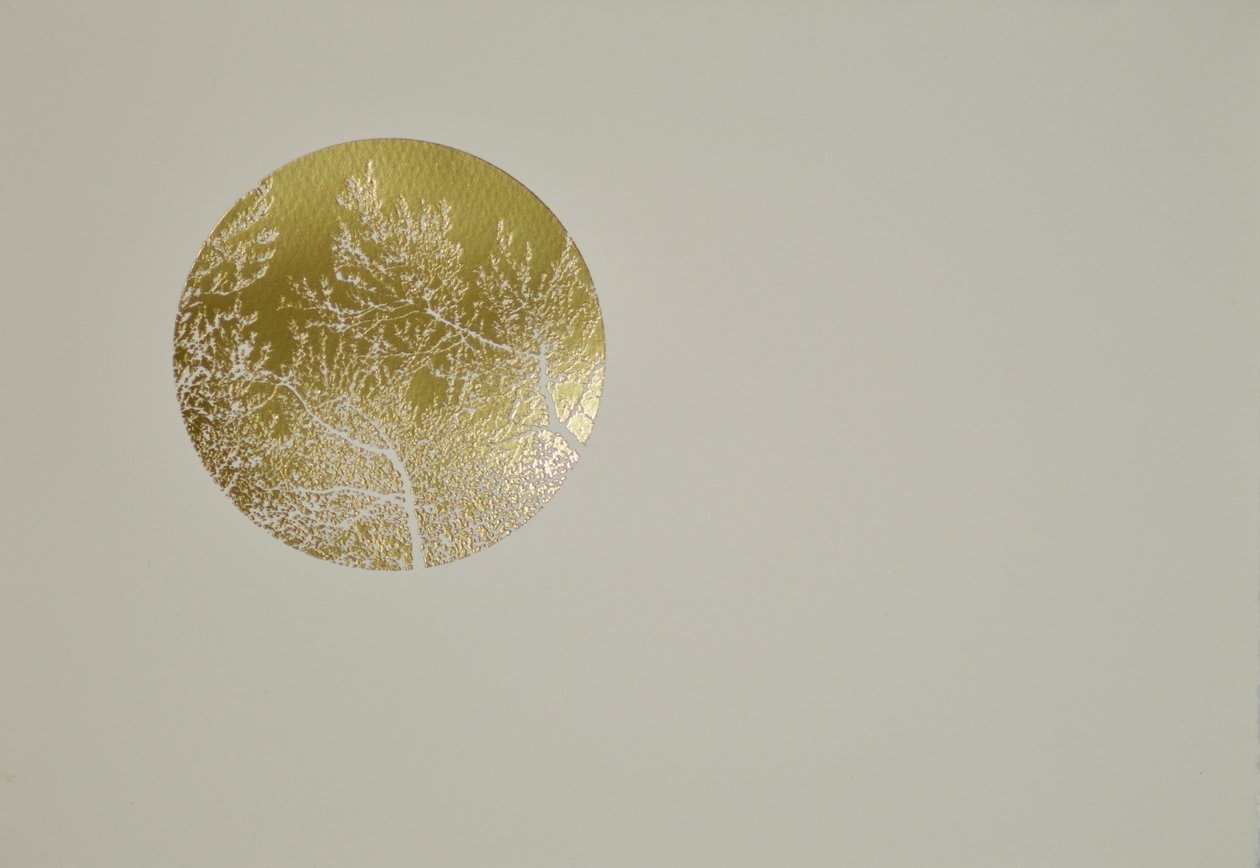 Olive silencieuse - angus hampel