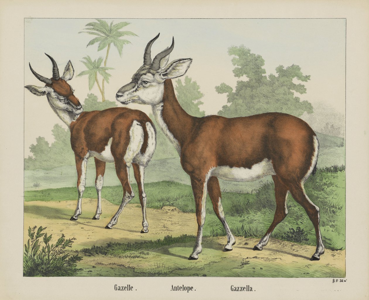 Gazelle - firma Joseph Scholz