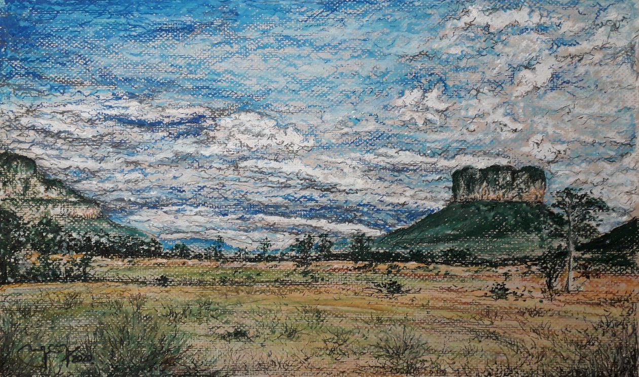 La Gran Sabana Venezuela - miguelmendez_art.ve