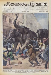 Du cirque à la rue