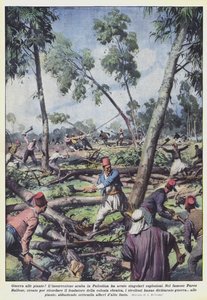 Guerre aux plantes!