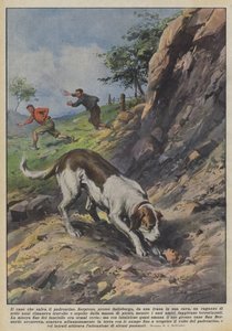 Le chien qui sauve son petit maître