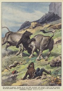Pour sauver le maître