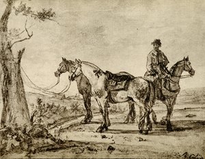 Trois chevaux