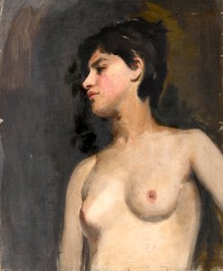 Demi-nu féminin. Fond noir. Vers 1880