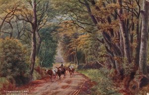 Le chemin de Tennyson près de Haslemere