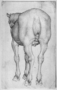 Cheval, de l