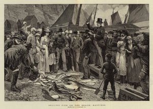 Vente de poisson sur la plage, Hastings