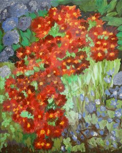 Fleurs de Cornouailles