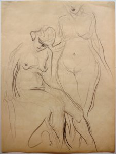 Deux nus féminins
