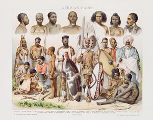 Races africaines