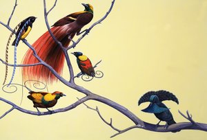 Oiseaux de paradis