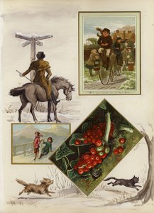 Page d