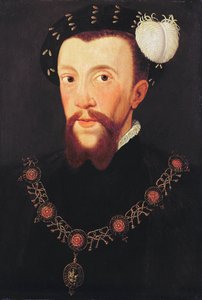 Portrait de Henry Howard, 1546
