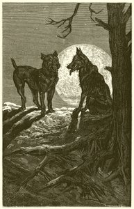 Le Loup et le Mâtin