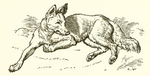 Le Loup en habit de mouton