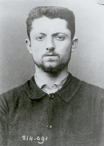 Portrait anthropométrique d