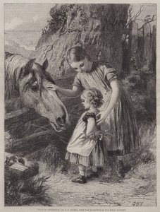 Manque de Confiance