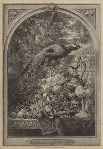 Le paon à la maison