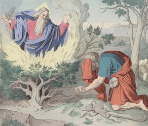 Le Buisson Ardent