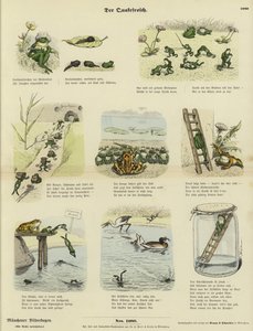 La grenouille