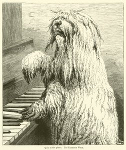 Quiz au piano