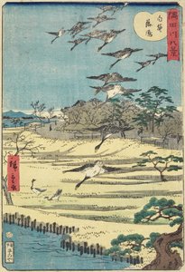 Oies rentrant à Shirahige, novembre 1861