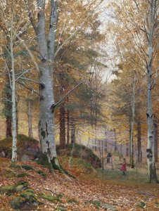 Automne dans les bois